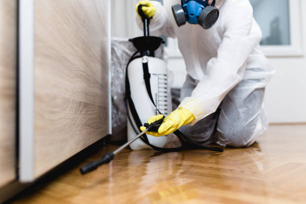 Best Affordable Pest Control Services  in Chapin, SC