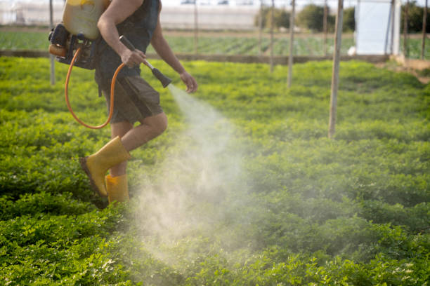 Best Best Pest Control Companies  in Chapin, SC
