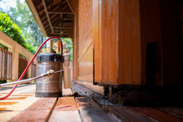 Best Best Pest Control Companies  in Chapin, SC