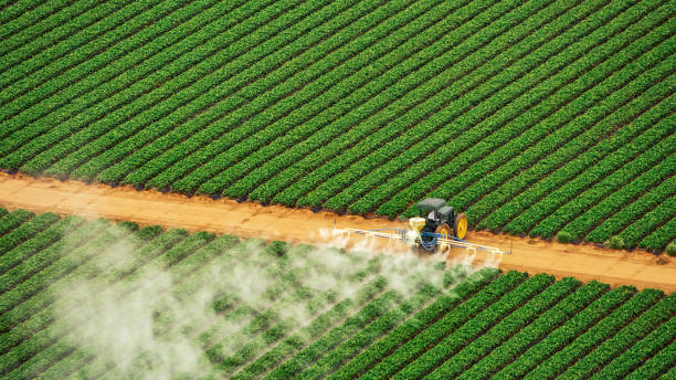 Best Pest Control for Homes  in Chapin, SC