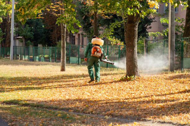Best Insect Control  in Chapin, SC