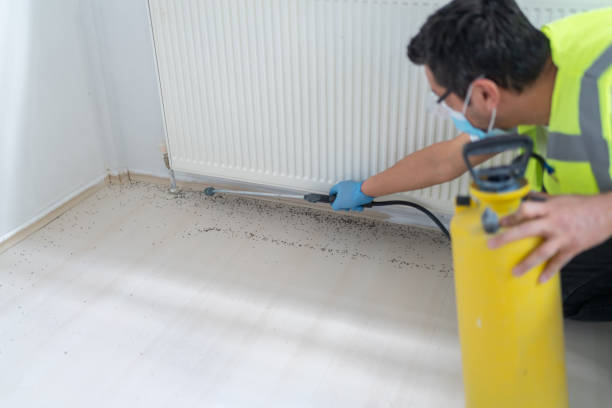 Best Termite Control Services  in Chapin, SC